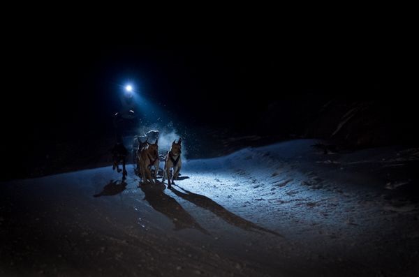 lampe frontale mushing